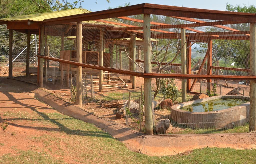 Ebundu Lodge White River Exteriér fotografie